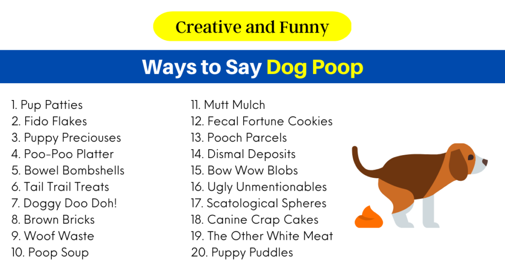 Ways to Say Dog Poop