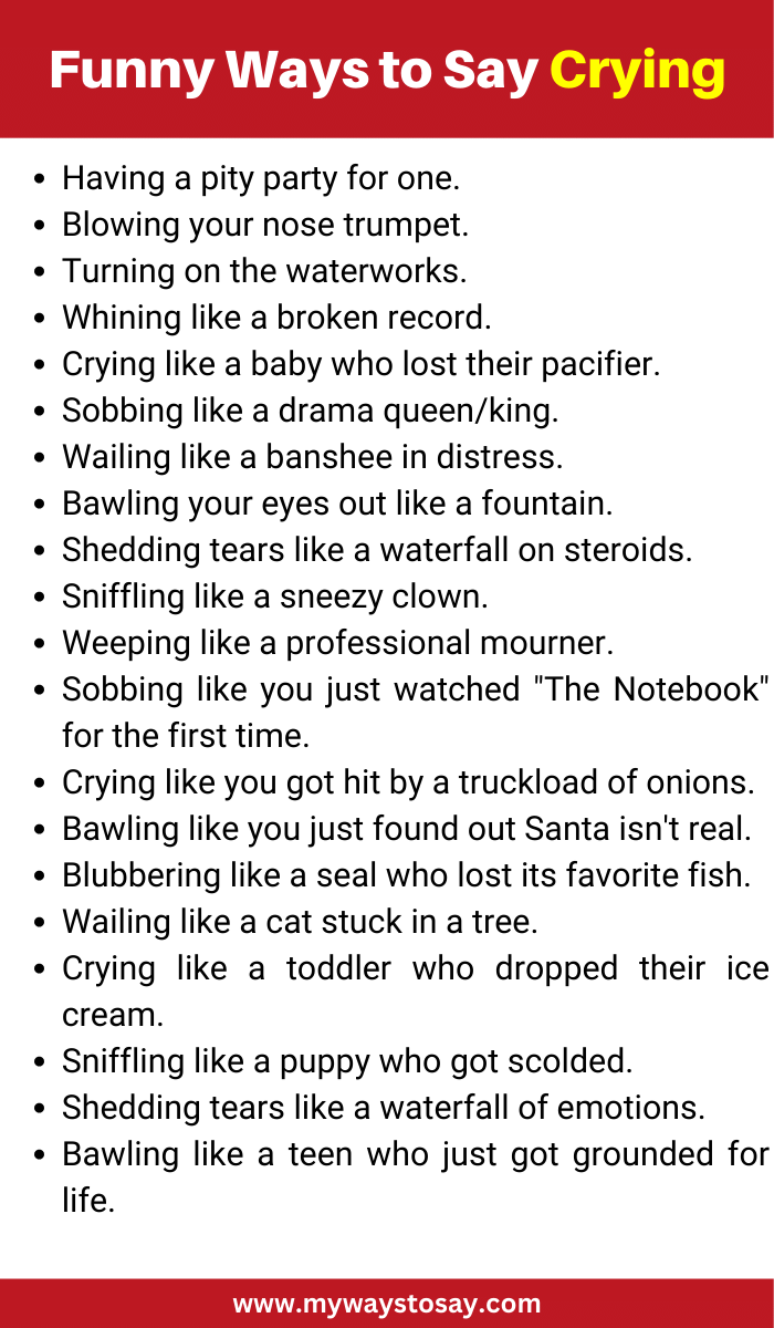Funny Ways to Say Crying