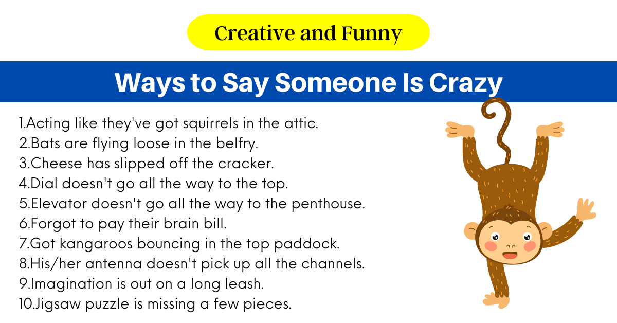 80+ Creative and Funny Ways to Say Crazy Person - MyWaystoSay